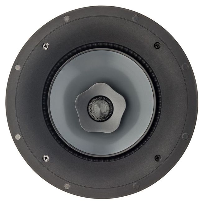 Paradigm® CI Pro P80-RX Outdoor/Marine Speaker