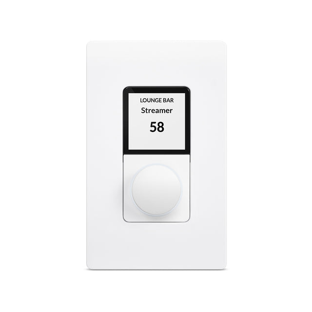 Single-Zone Commercial Wall Controllers