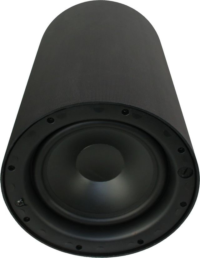Origin Acoustics® Professional 8" Black Pendant Subwoofer