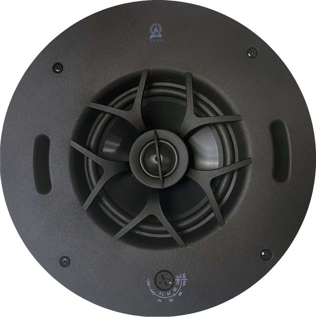 Origin Acoustics® Professional 6.5" In-Ceiling Speaker