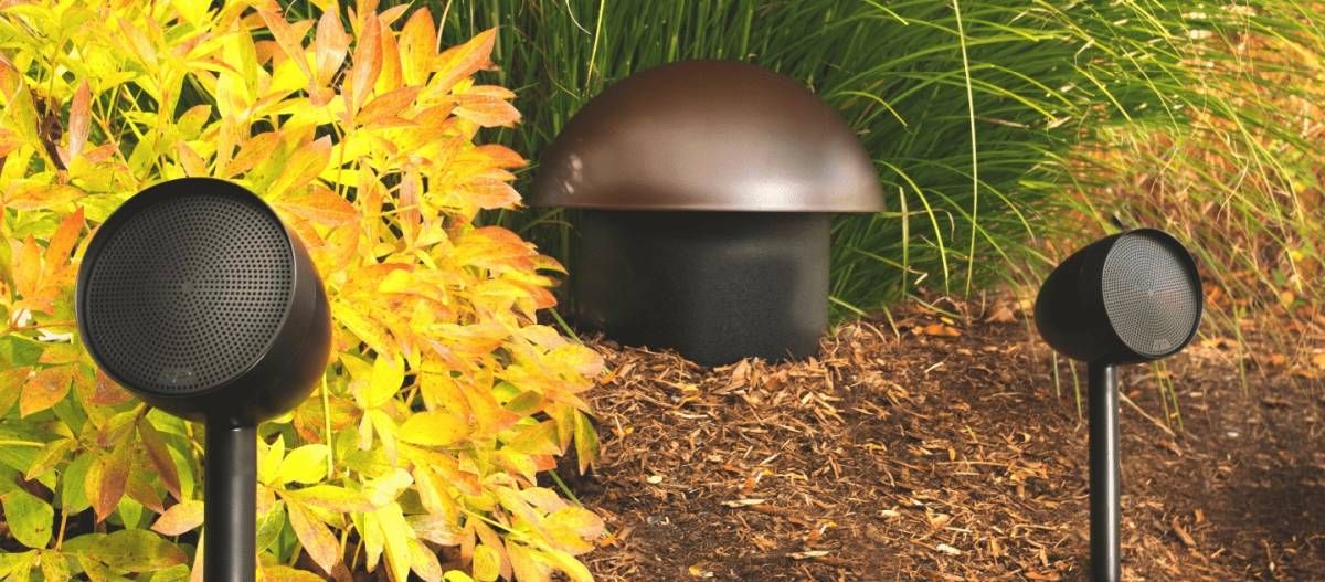 Paradigm® Garden Oasis 8" Dark Satin Brown Subwoofer