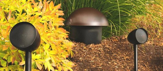 Paradigm® Garden Oasis 8" Dark Satin Brown Subwoofer
