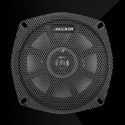 10PS5250 - 5.25" 2 Ω