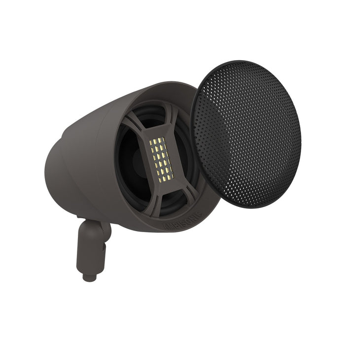 Ambisonic 6in 100w Landscape AM-LSR80