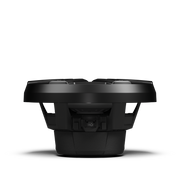 M2 10" DVC 2Ω Color Optix™ Infinite Baffle Marine Subwoofer: Black Gen-2