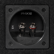 Punch Single P1 12" Loaded Enclosure