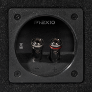 Punch Dual P1 10" Loaded Enclosure