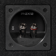 Punch Dual P1 12" Loaded Enclosure