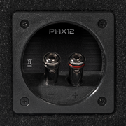 Punch Single P2 12" Loaded Enclosure