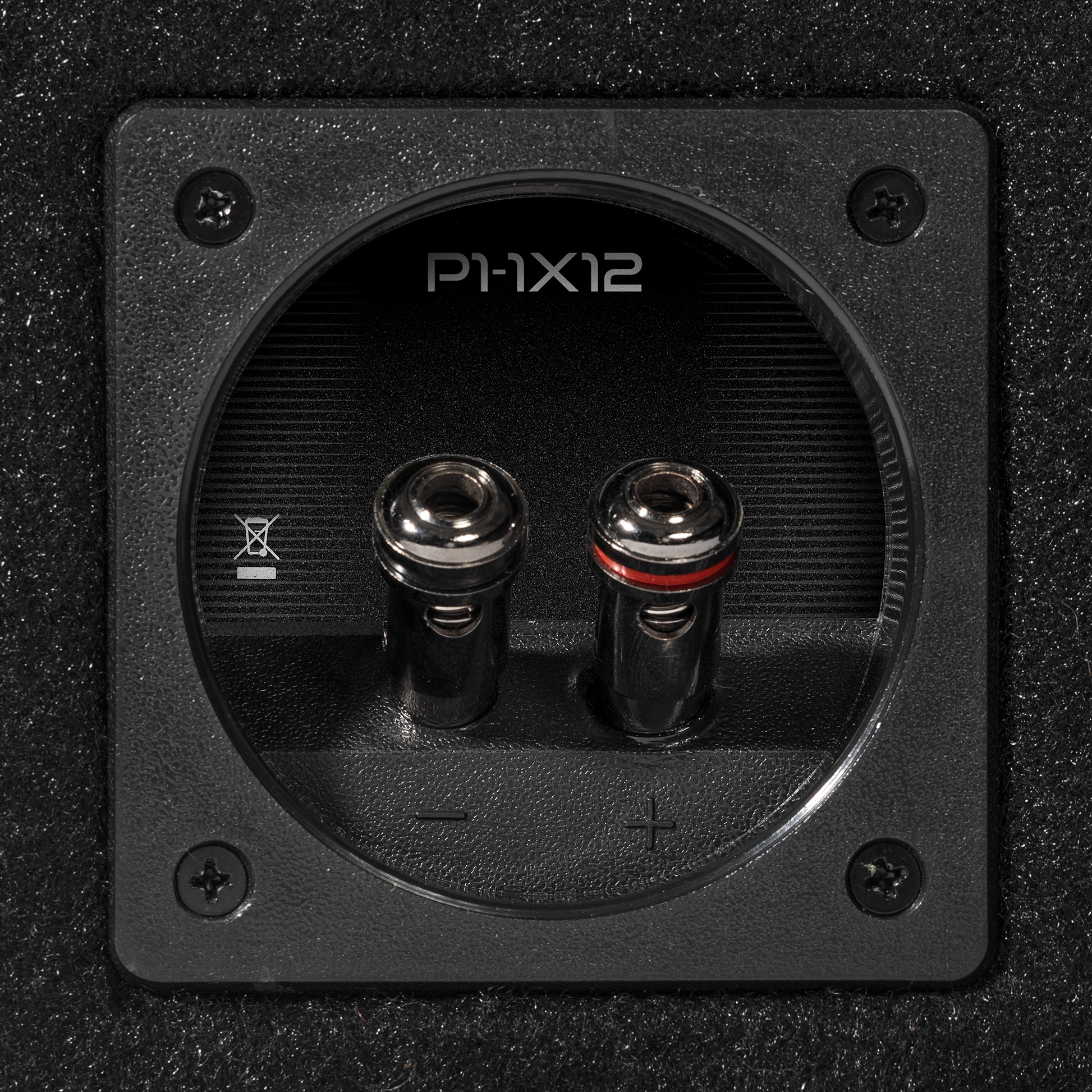 Punch Single P2 12" Loaded Enclosure