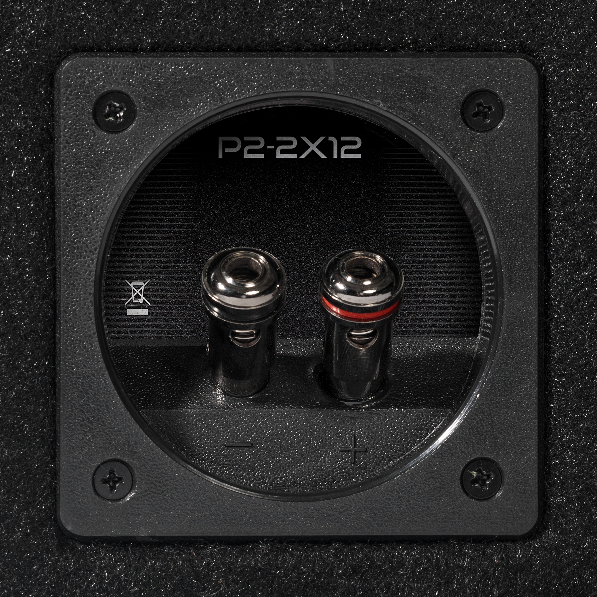 Punch Dual P2 12" Loaded Enclosure