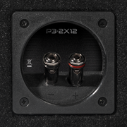 Punch Dual P3 12" Loaded Enclosure