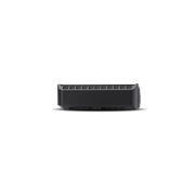 Punch 300 Watt Full-Range Mono Amplifier
