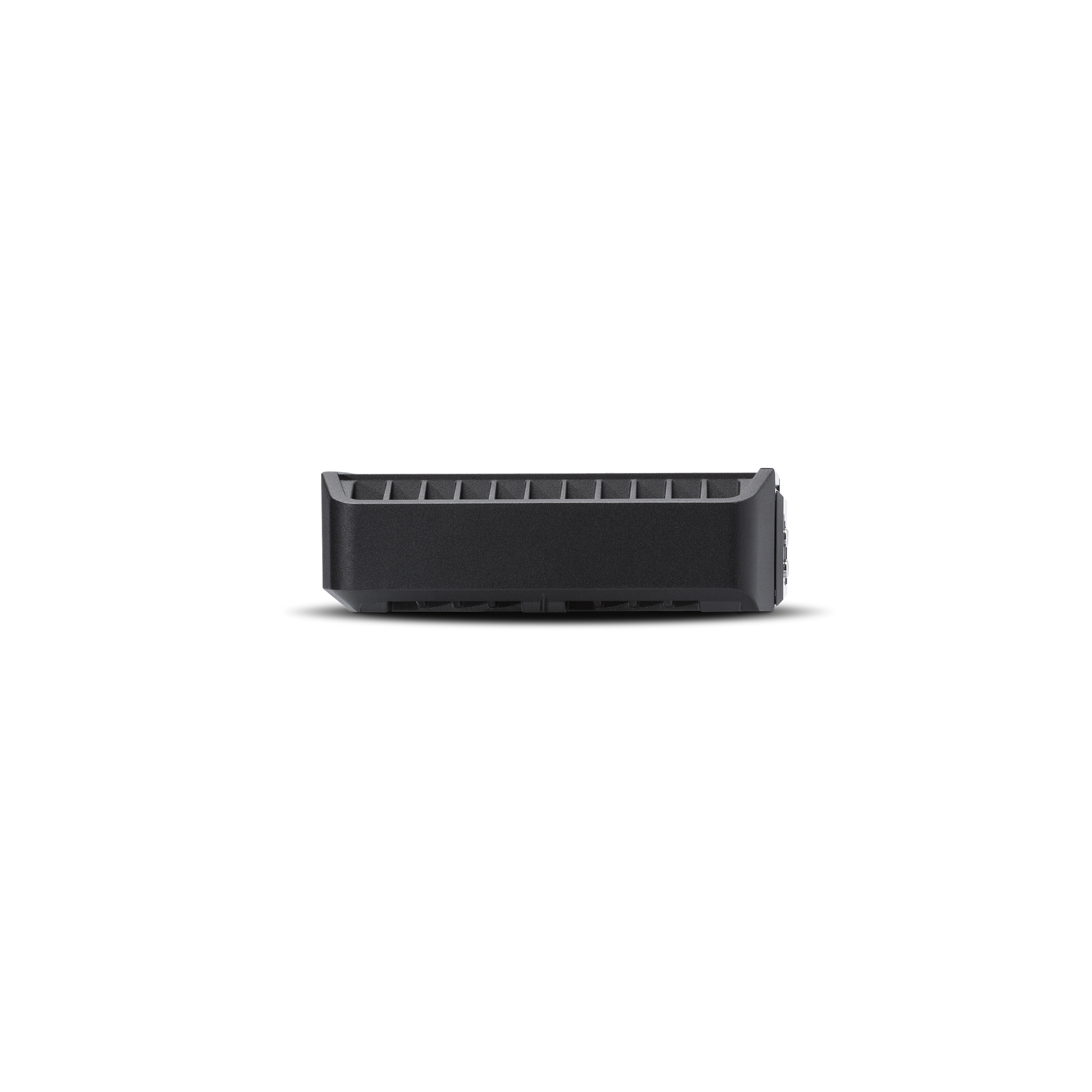 Punch 300 Watt Full-Range Mono Amplifier