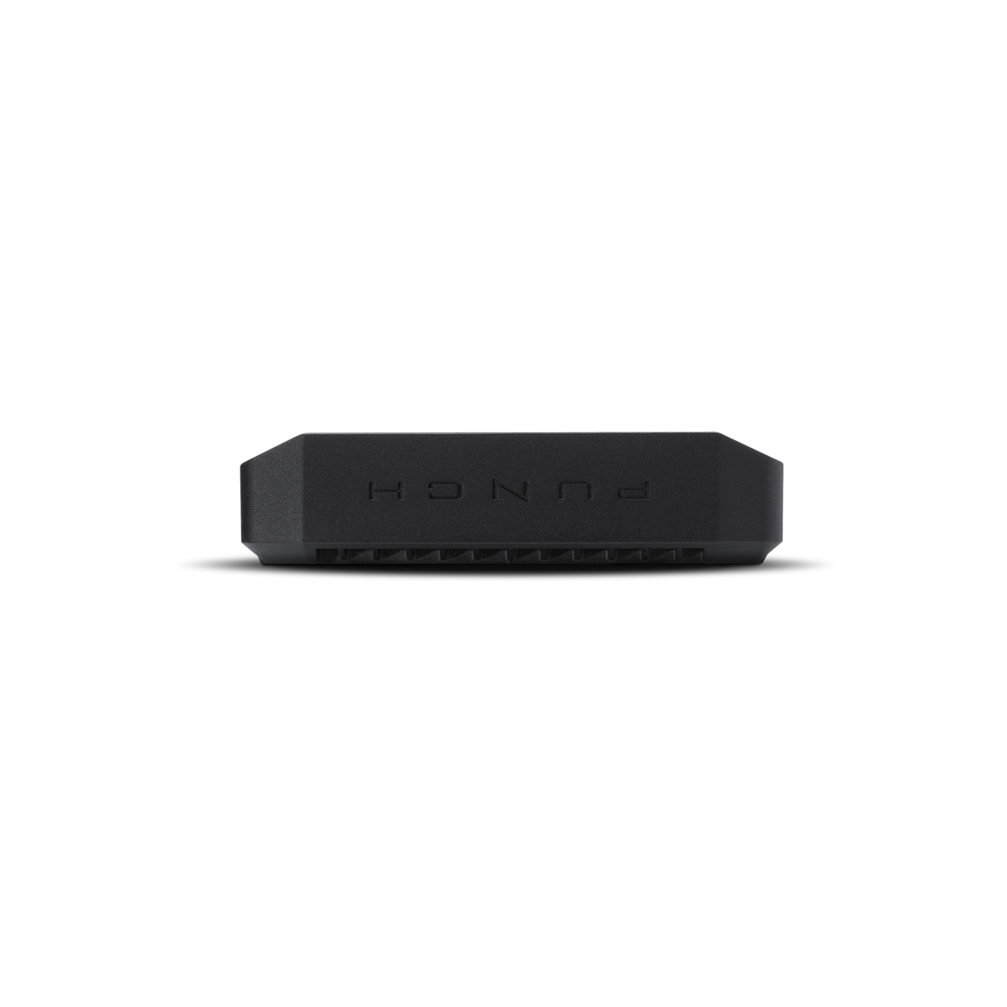 Punch 300 Watt Full-Range Mono Amplifier