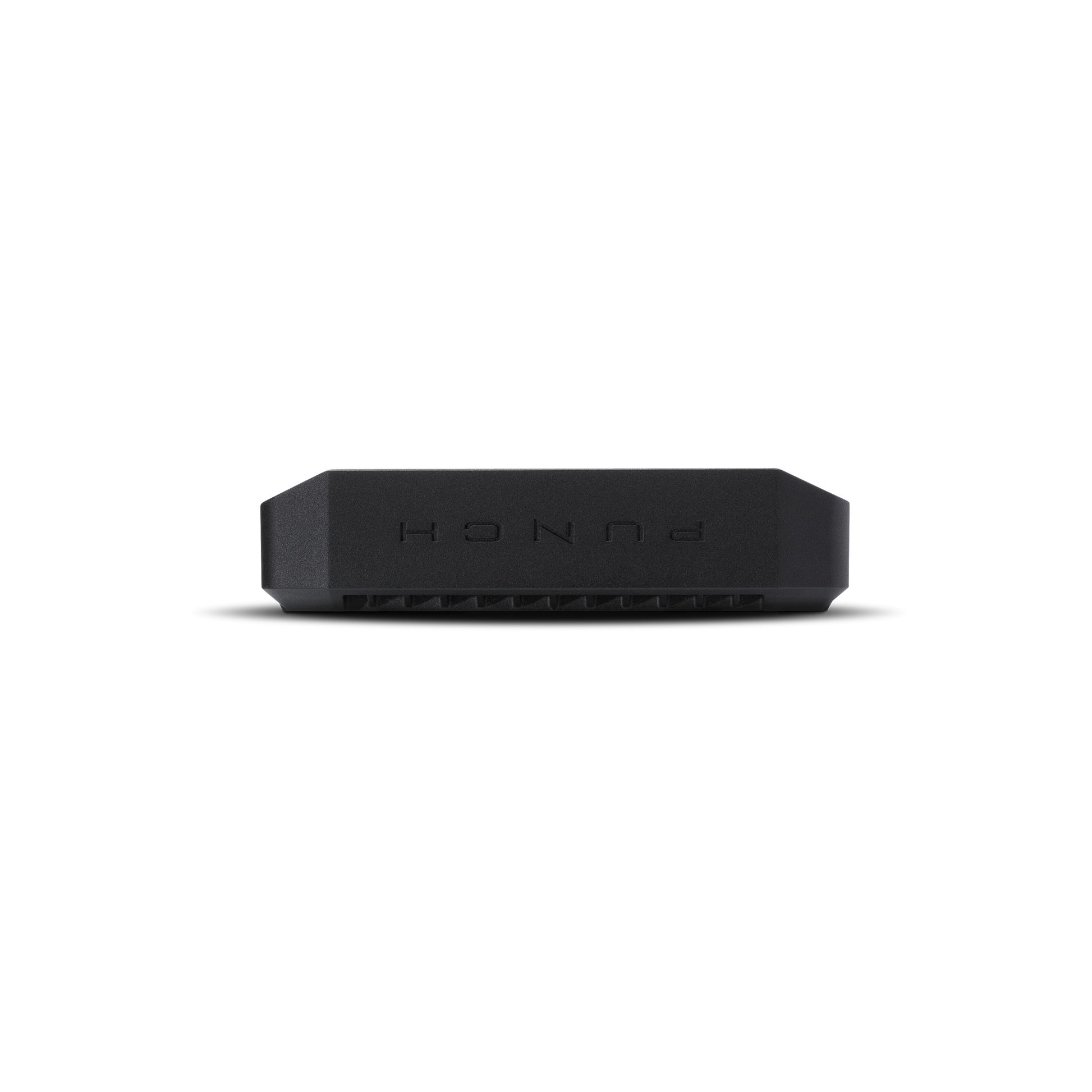 Punch 300 Watt Full-Range Mono Amplifier