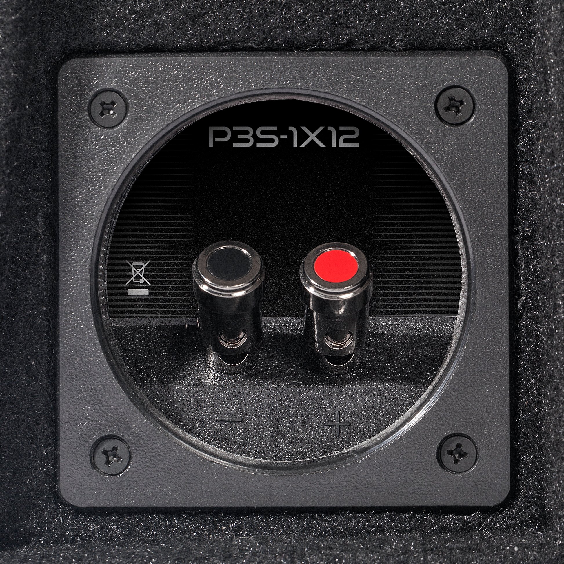 Punch Single P3S 12" Shallow Loaded Enclosure