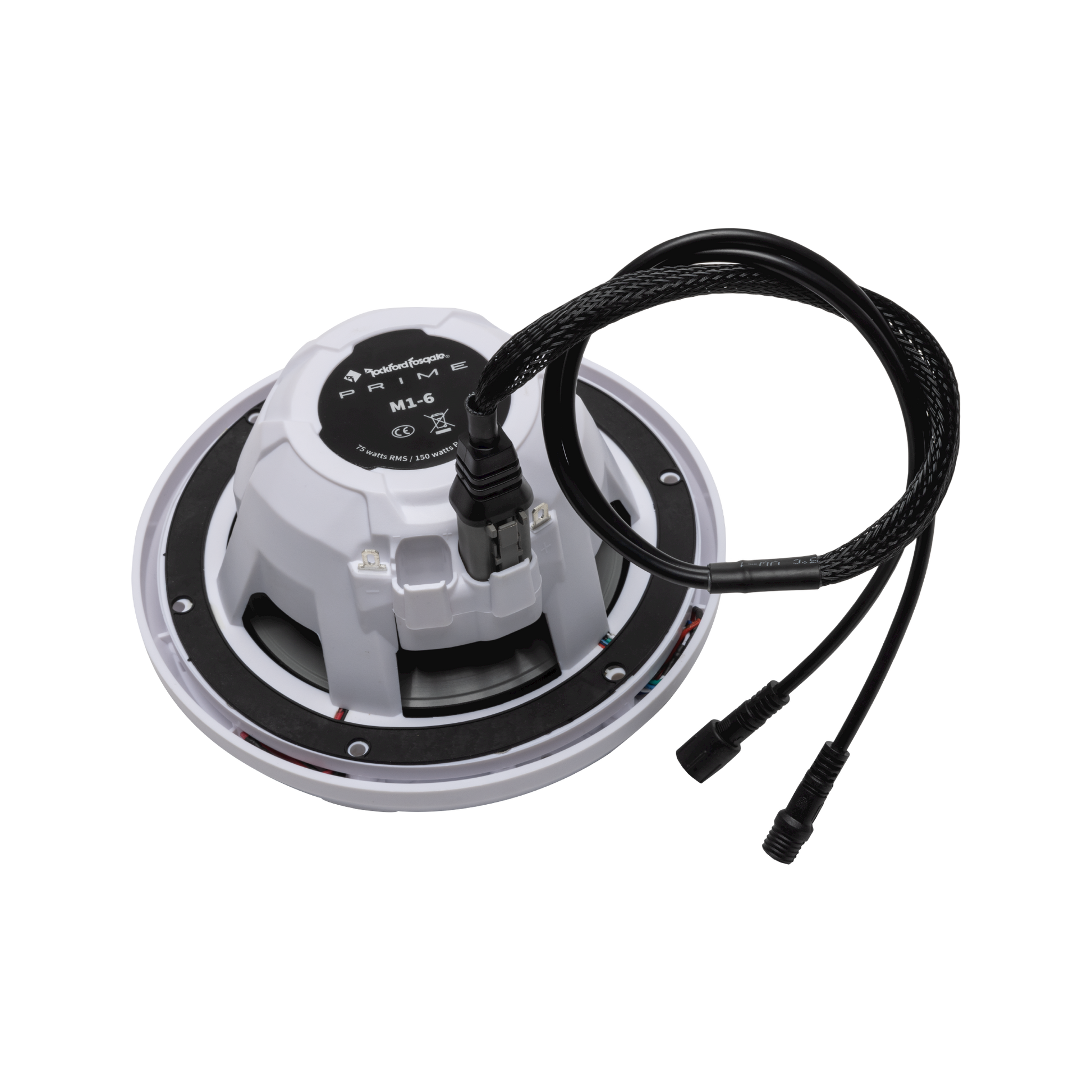 4-Pin Color Optix™ Y-Adaptor for PMX-RGB (Gen-2)