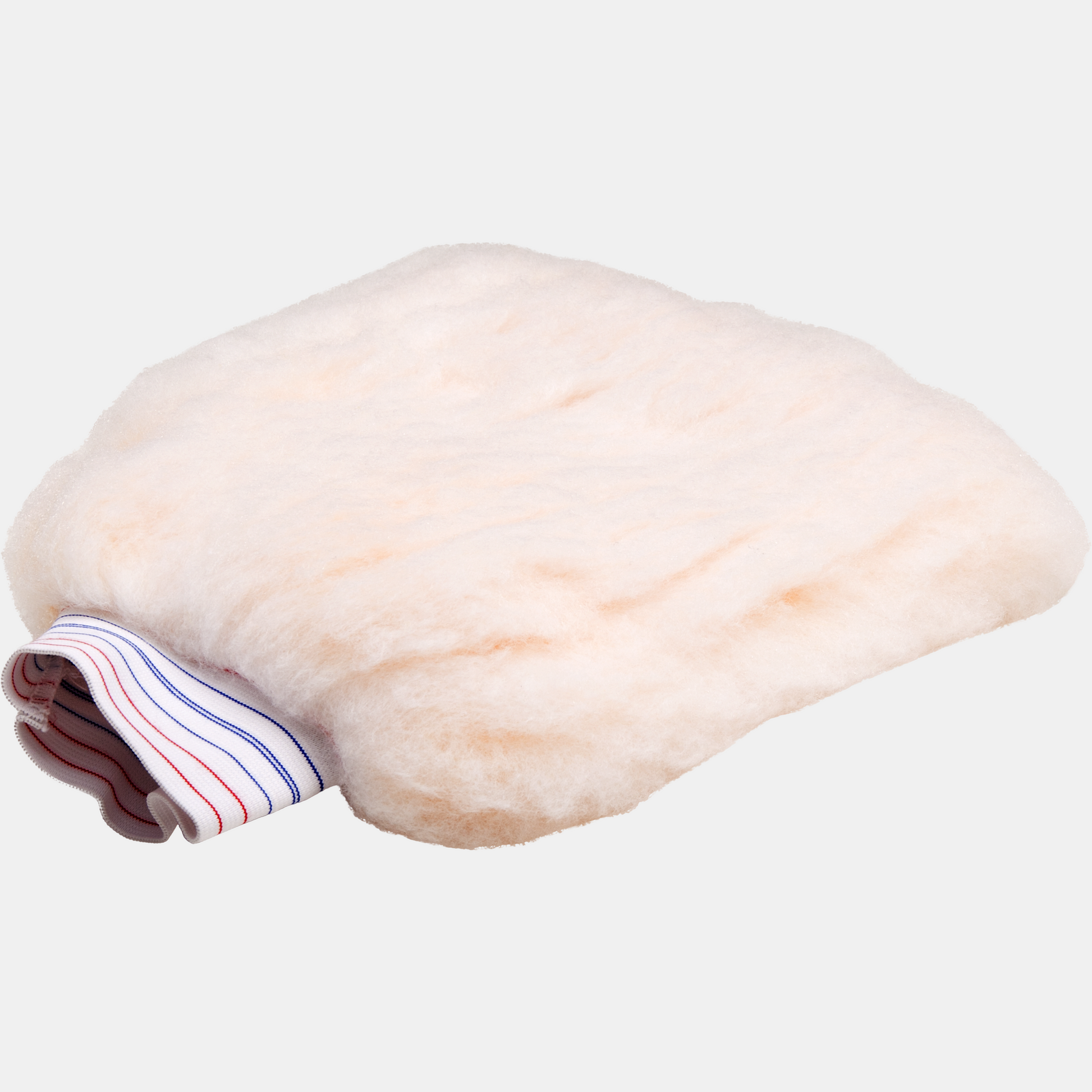 P & S Detail Products Professional Wash Mitt WE12C
